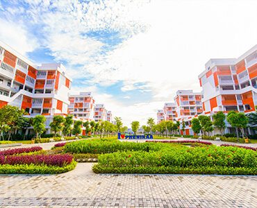 Đại học Phenilkaa và khối ngành sức khỏe